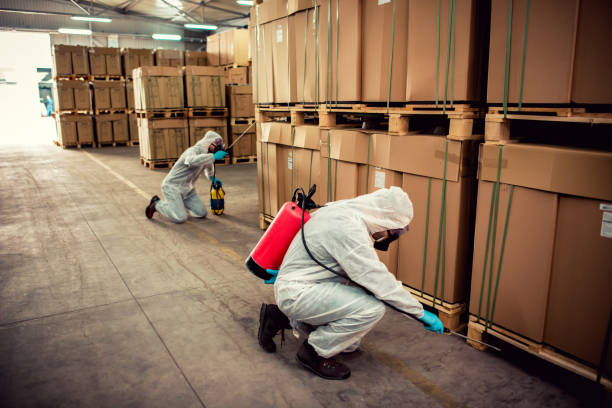Best Pest Inspection Near Me  in Sunnyside, GA