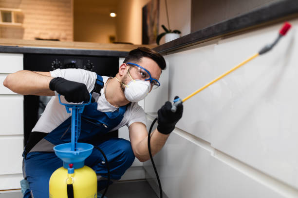 Reliable Sunnyside, GA Pest Control Solutions