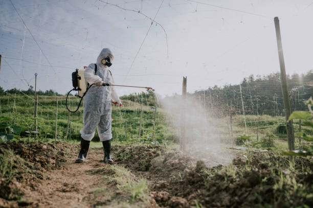 Best Commercial Pest Control Services  in Sunnyside, GA