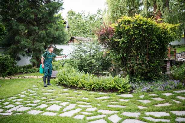 Best Pest Removal Services  in Sunnyside, GA