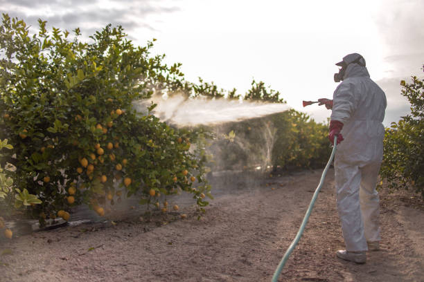 Best Exterminator Services  in Sunnyside, GA