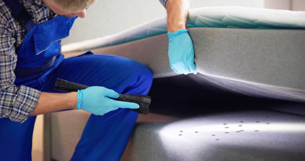 Best Flea Control Services  in Sunnyside, GA