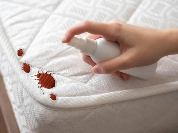 Best Best Pest Control Companies  in Sunnyside, GA