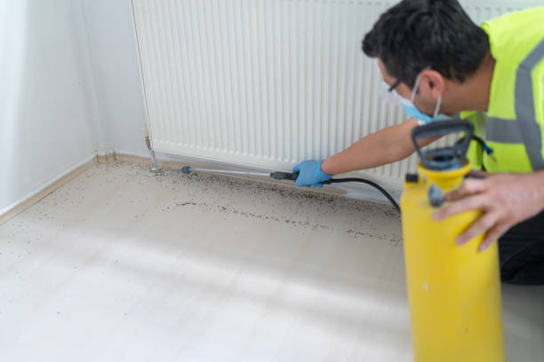 Best Best Pest Control Companies  in Sunnyside, GA