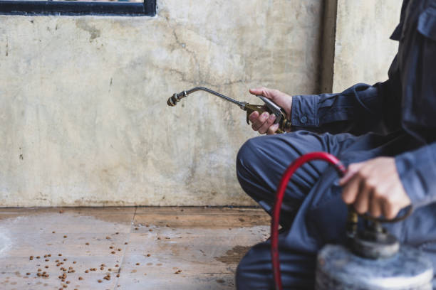 Best Pest Control Cost  in Sunnyside, GA