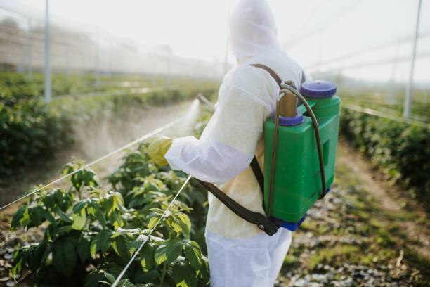 Best Bed Bug Extermination  in Sunnyside, GA